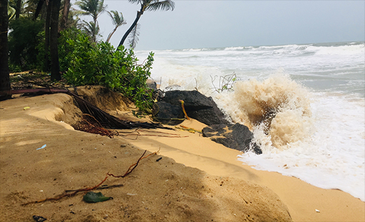 Sea Erosion06